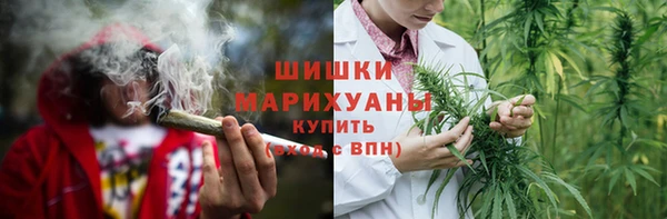 прущие грибы Аркадак