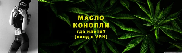 прущие грибы Аркадак
