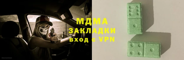 прущие грибы Аркадак