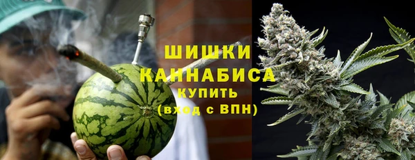 прущие грибы Аркадак