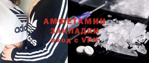 прущие грибы Аркадак