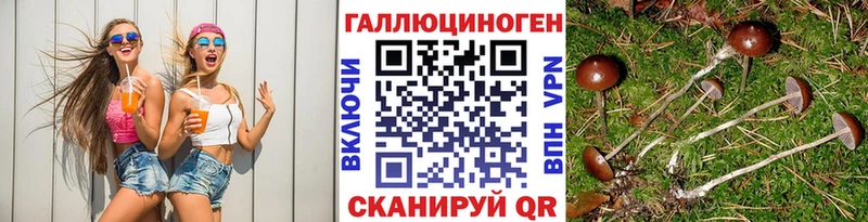 Псилоцибиновые грибы мицелий наркотики Межгорье